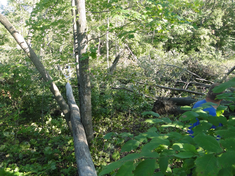 /pictures/Trail Clean Up 2018/DSC06588.jpg